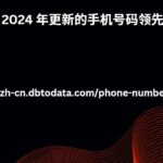 2024 年更新的手机号码领先