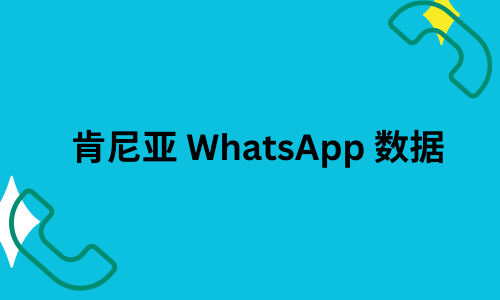 肯尼亚 WhatsApp 数据